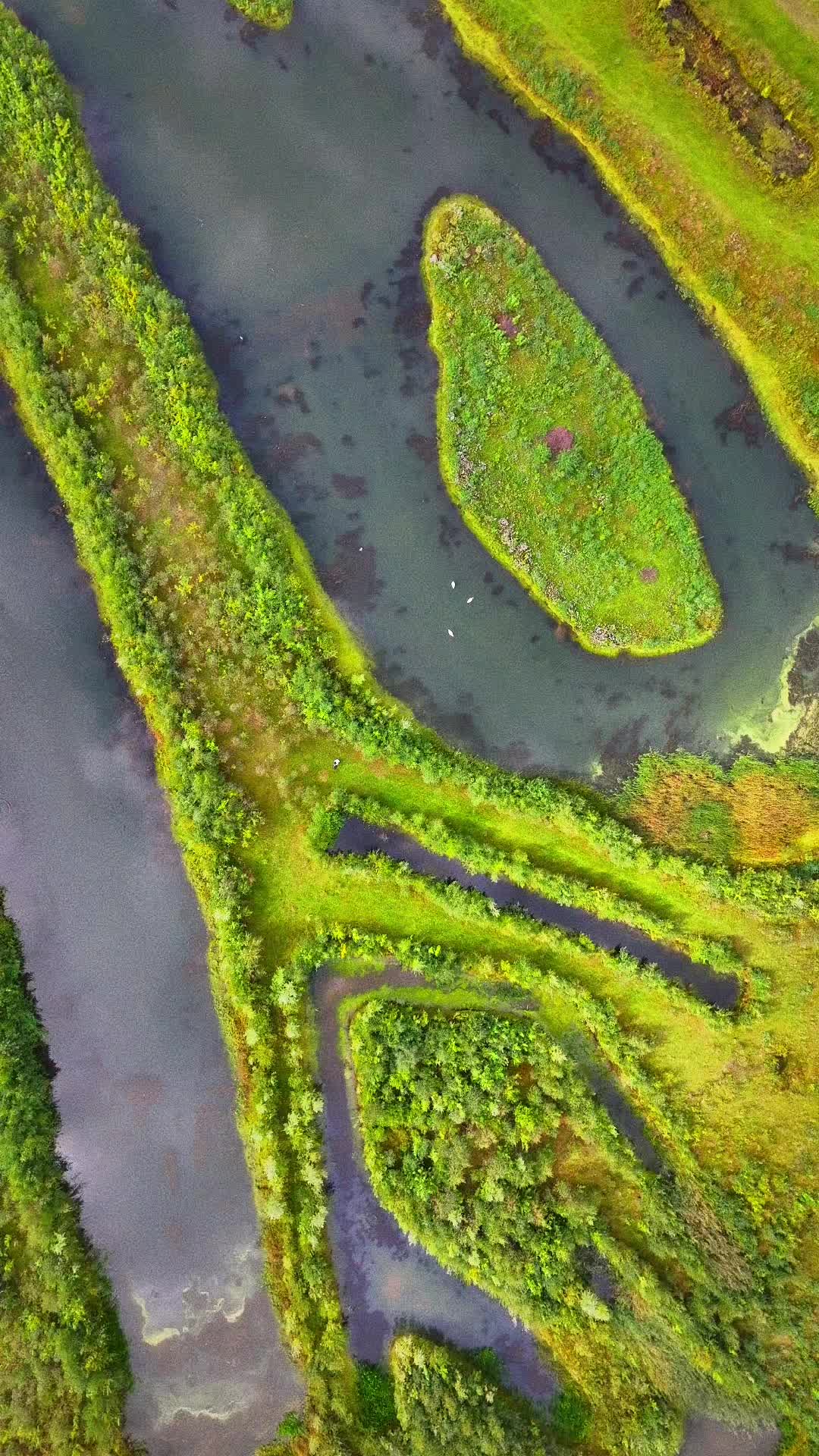 @tuseef786