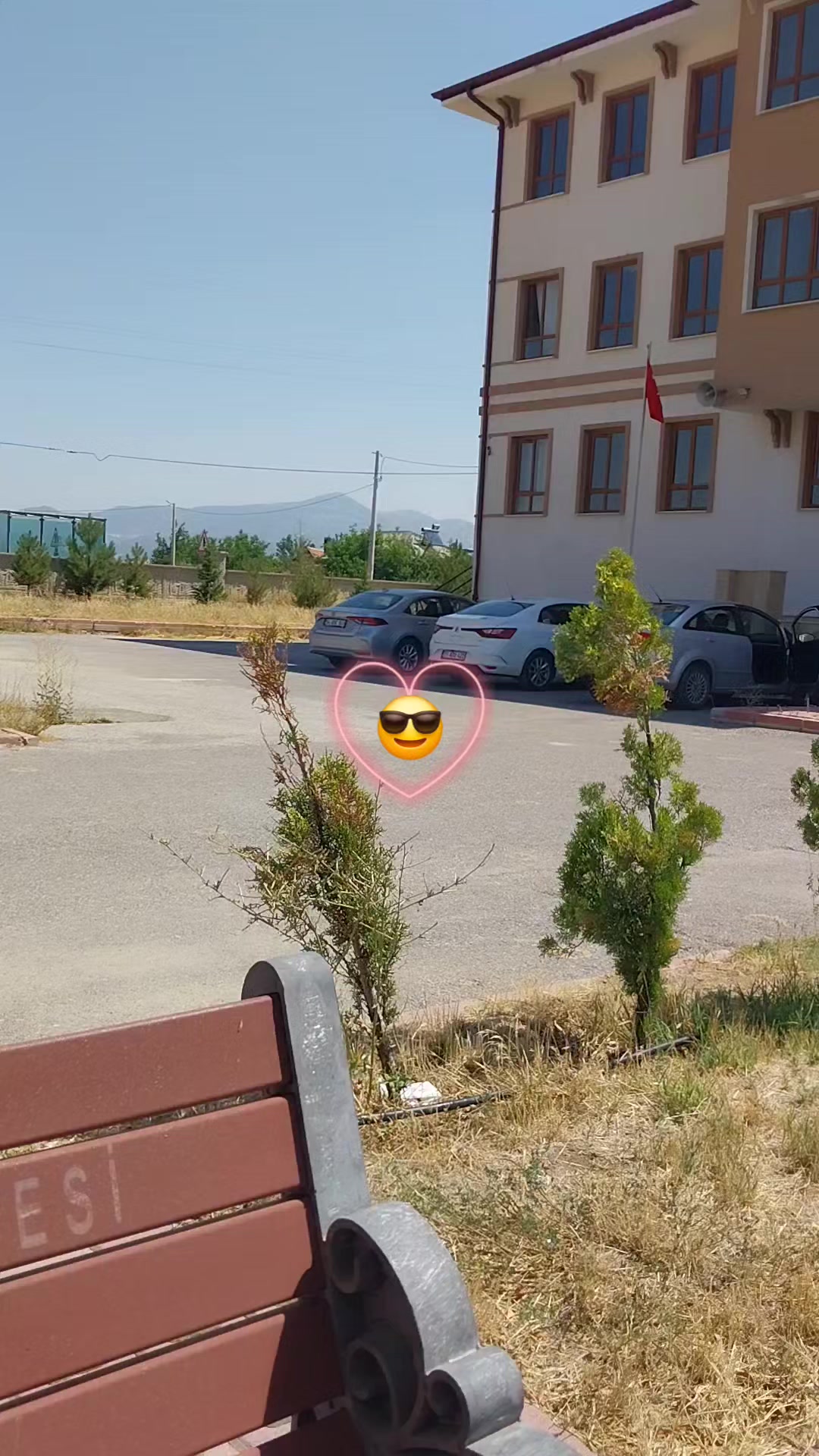 @Ayşe S🩷A