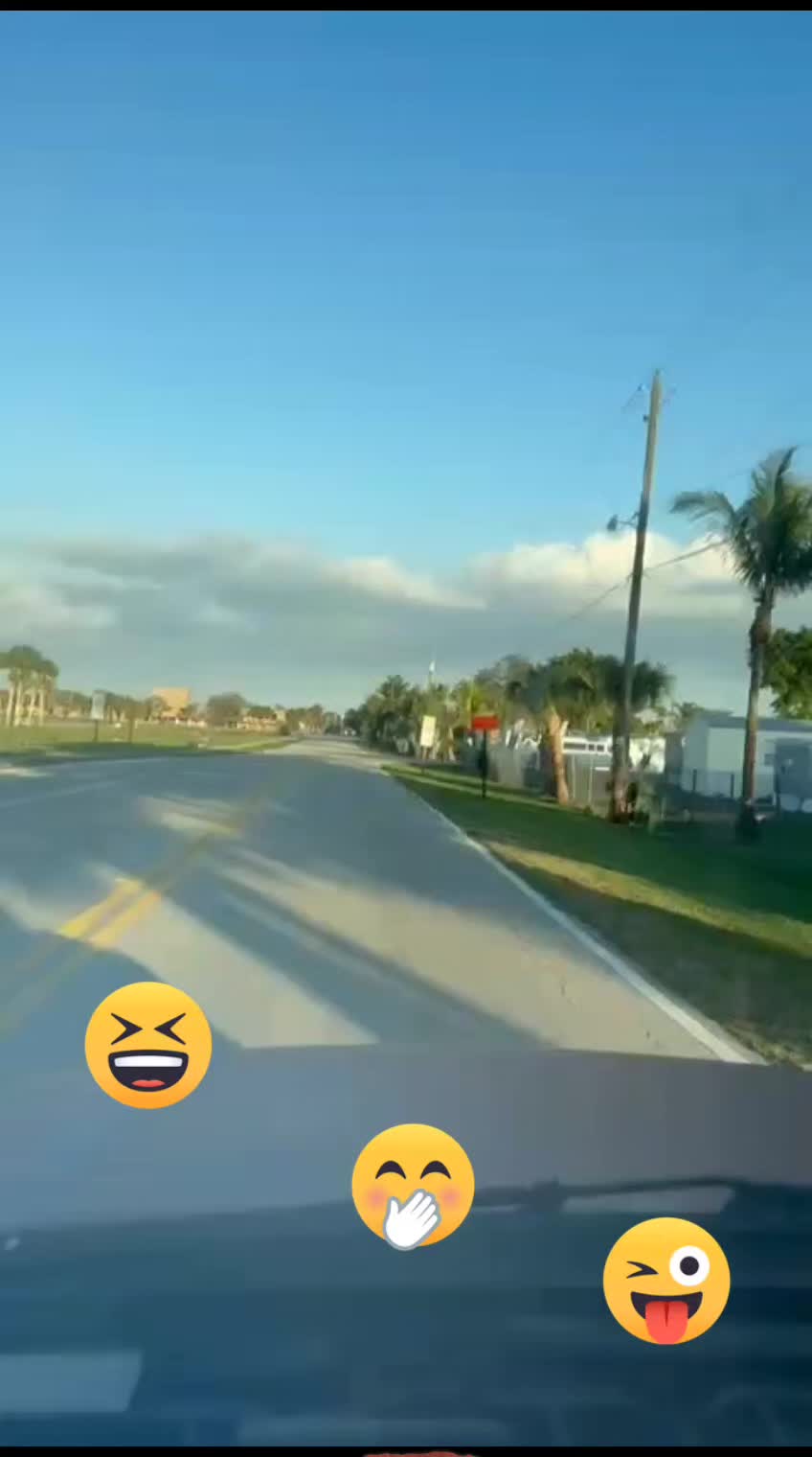 @El sic&oacute;logo de la garza