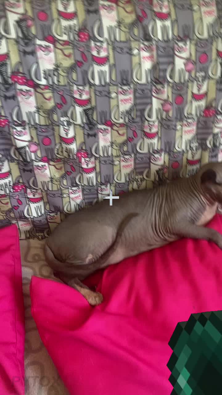 @Flaimis0