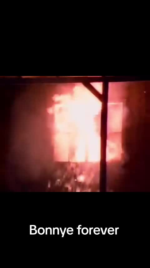 @mondo pazzo di m...a crazy