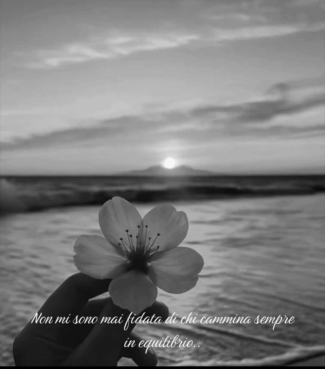 @✨♥️☀️Amy🌙♥️✨
