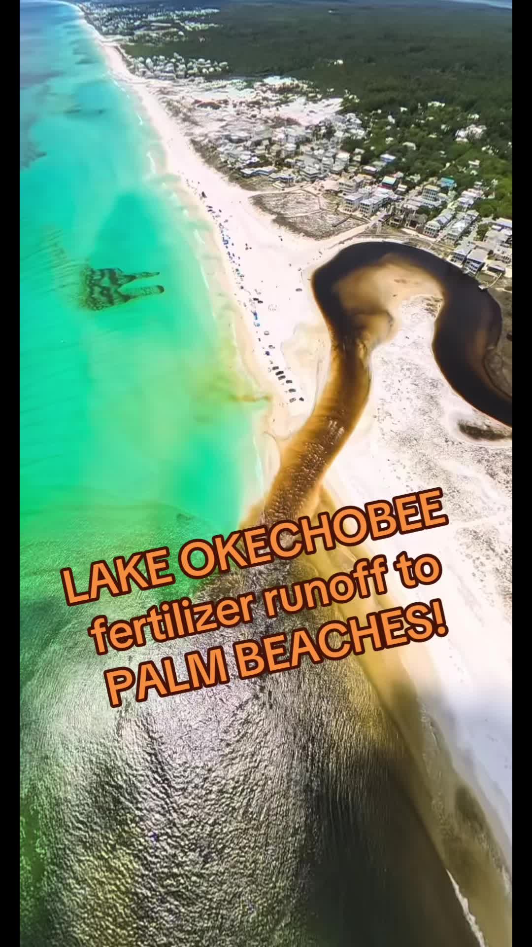 @Fun Facts or Fiction