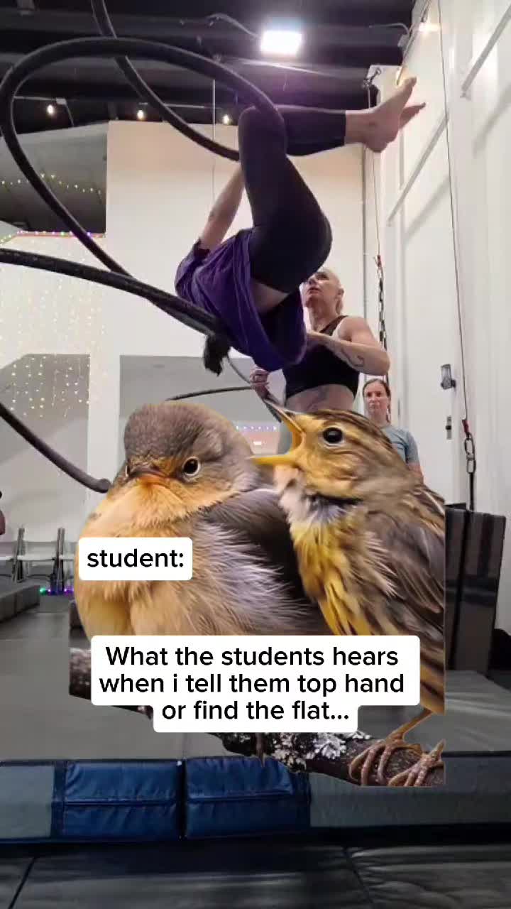@TAIC