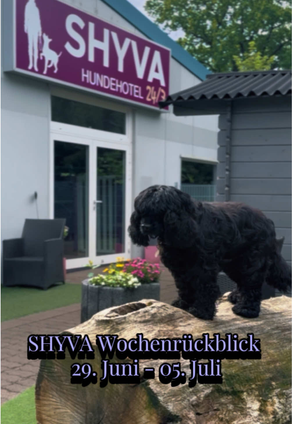 @Shyva Hundezentrum