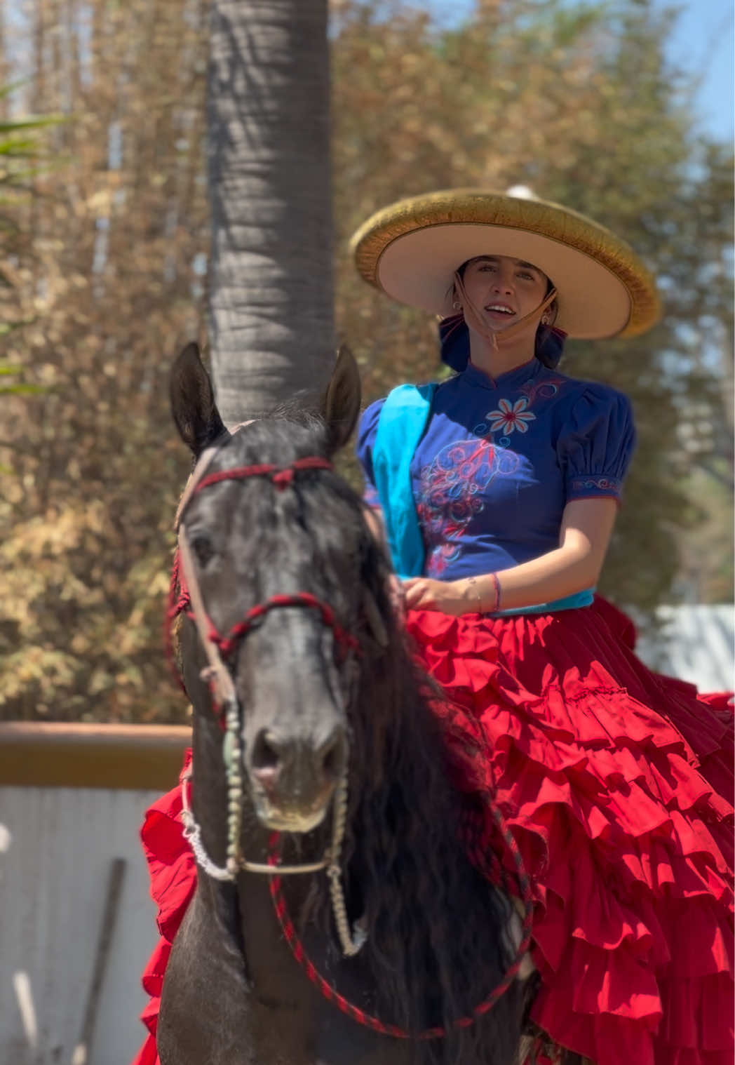 @Melissa Borrayo🤠