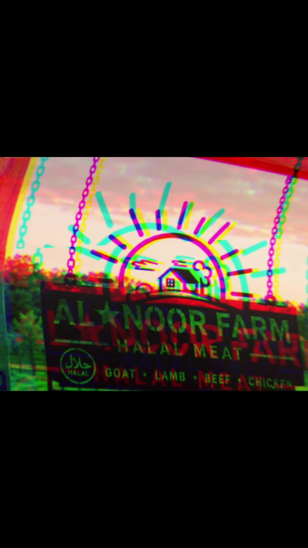 @Al Noor Farm, Lewiston N.Y.