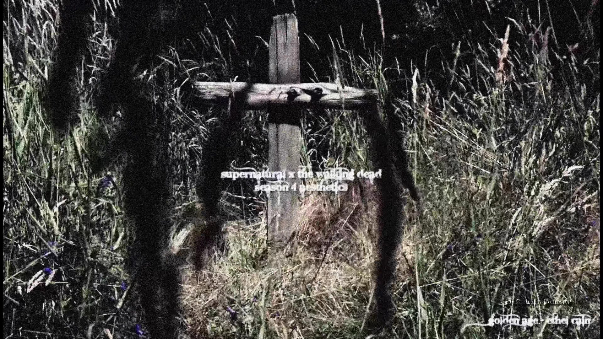 @grace 📼 ▬ι𓆃