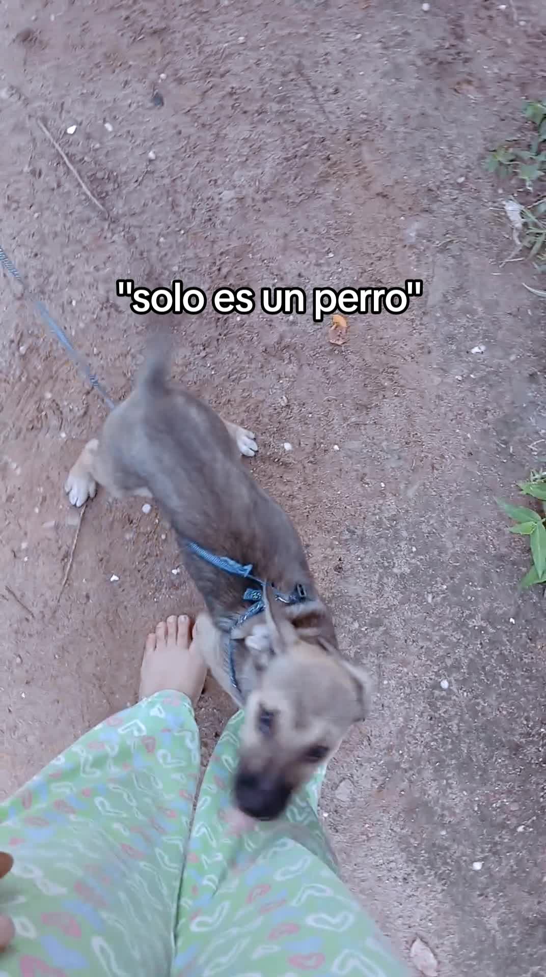 @️