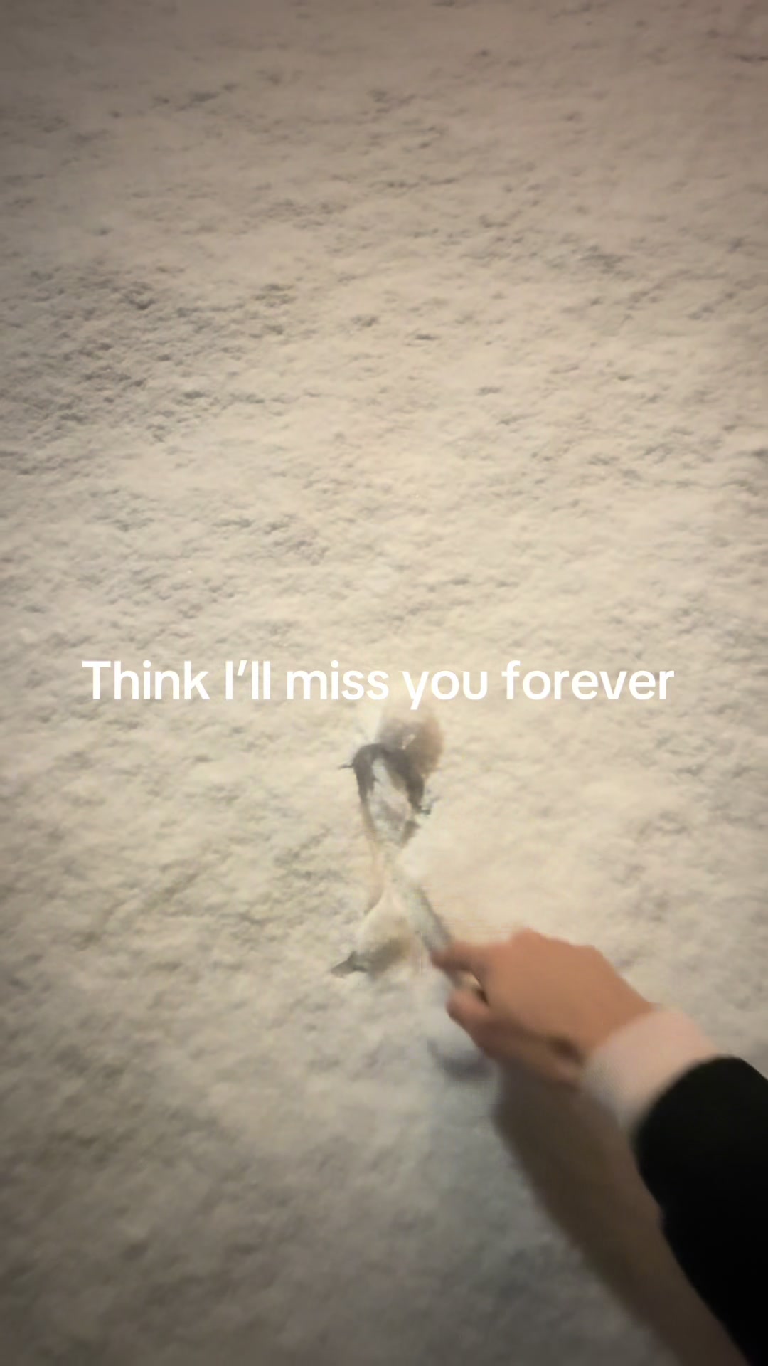 @8inkbeauty
