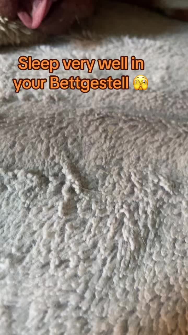 @Marleene🐶