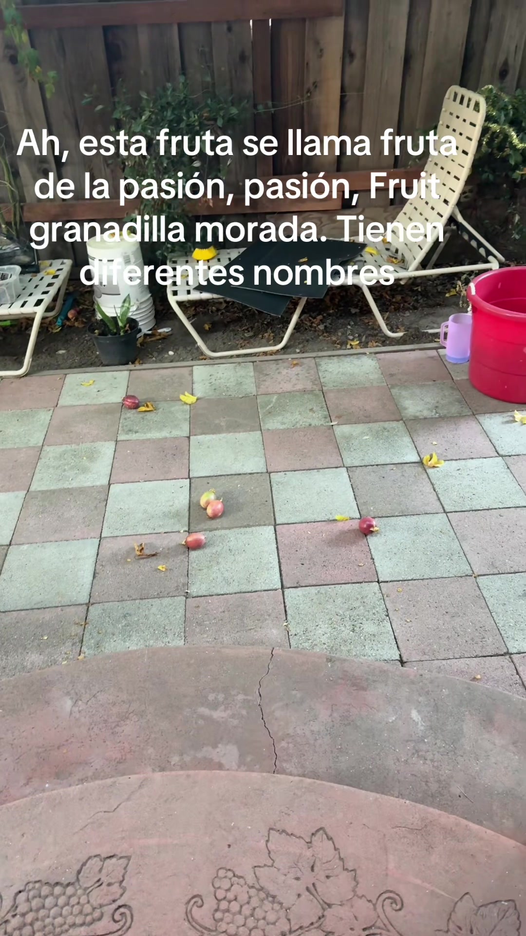 @MarielaDiaz123