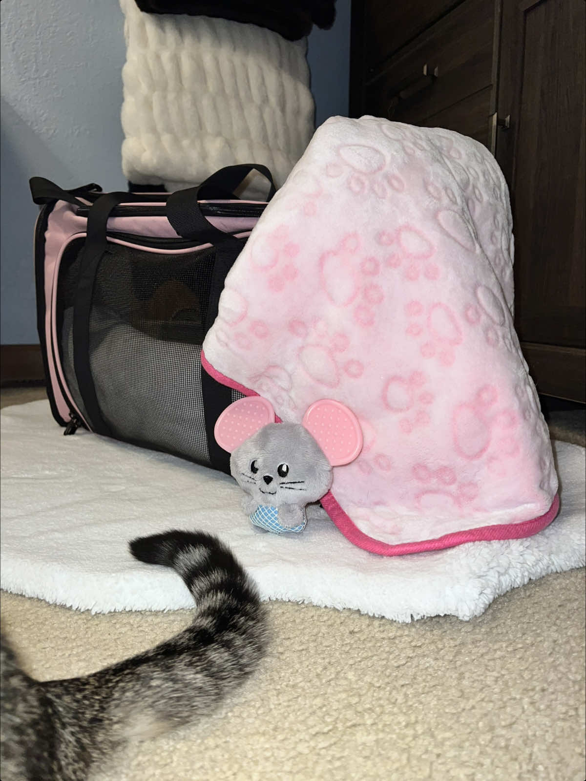 @Poppy🎀