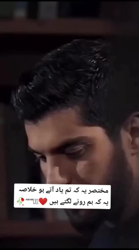 @Daily Dramas