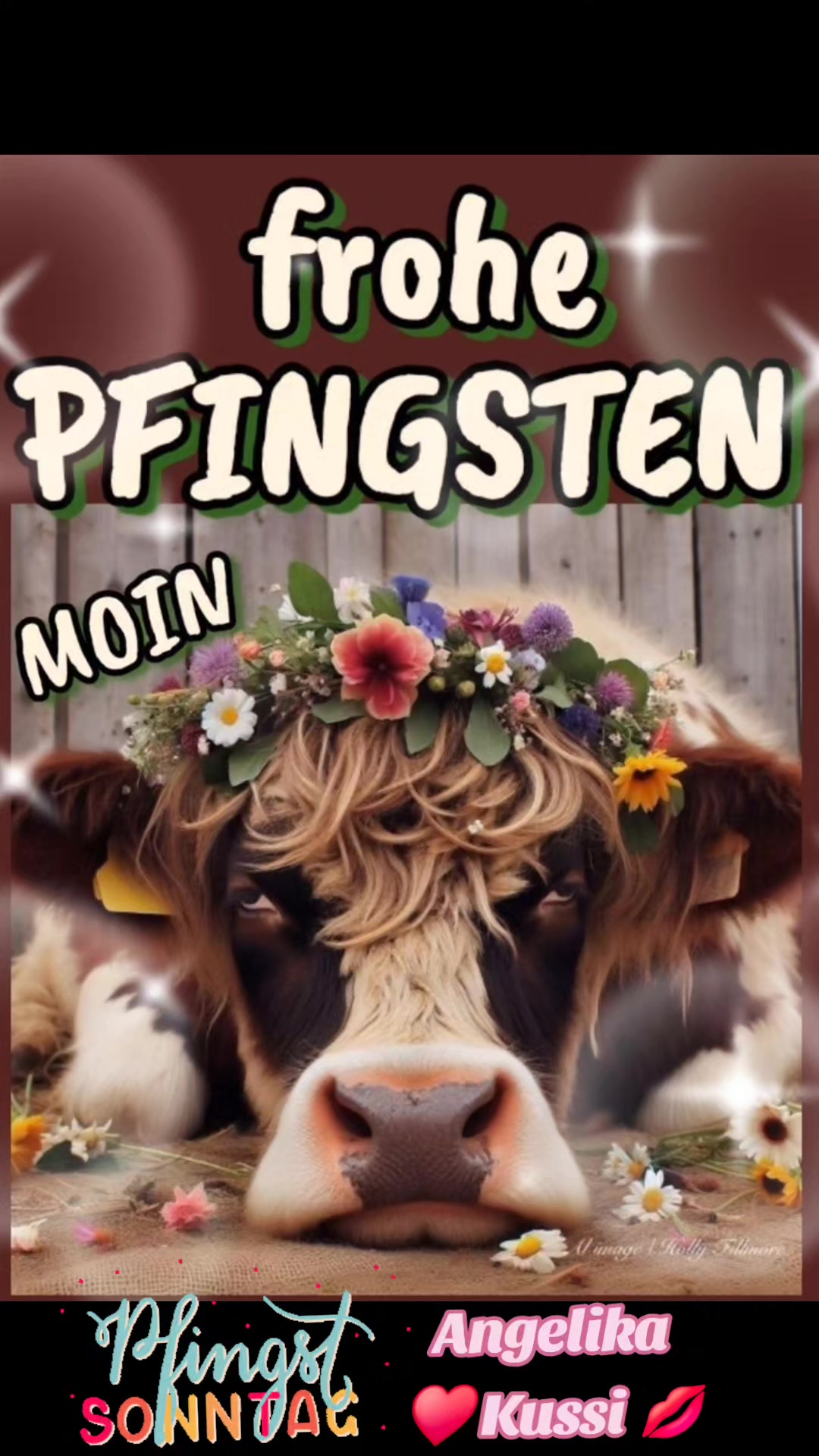 @J&ouml;rg 🐸&🐜Florian