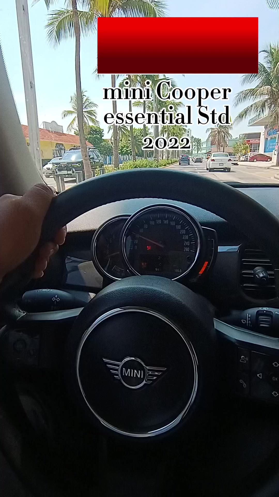 @Edgar Guzmán|Asesor Automotriz
