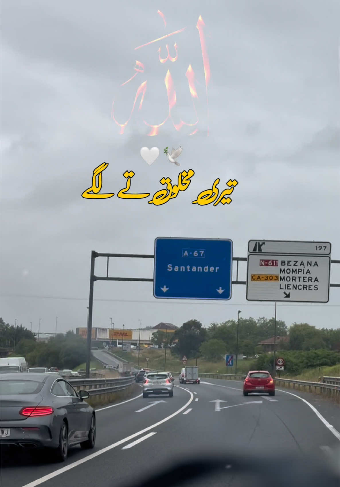 @Dr Sana 4696