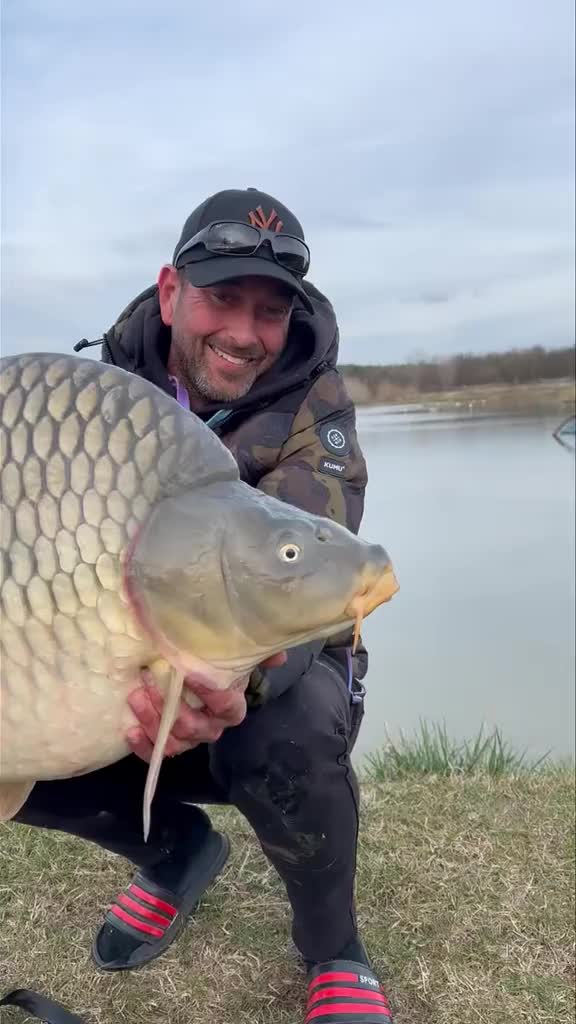 @carpworldonline