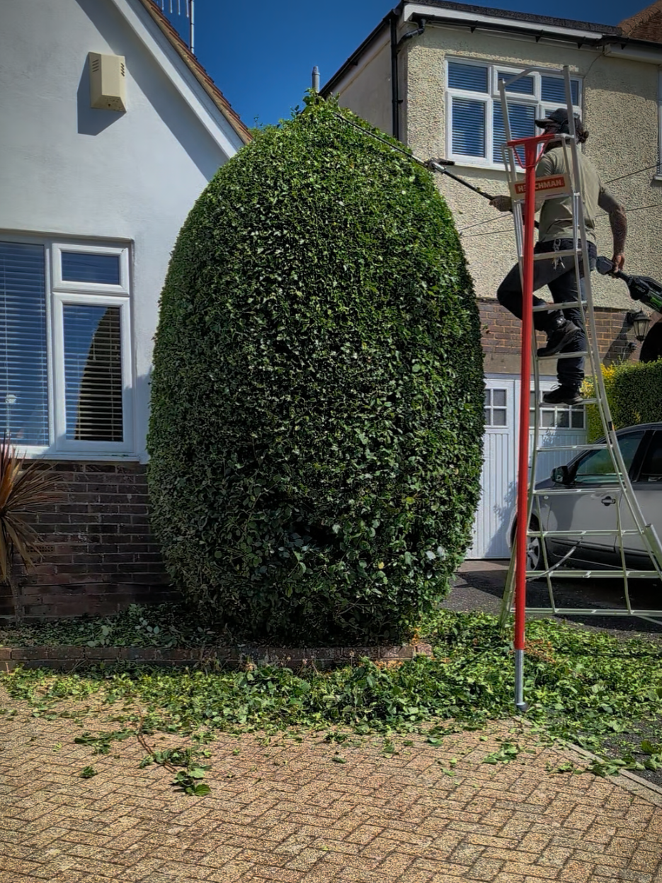 @Gary Hall Garden Services