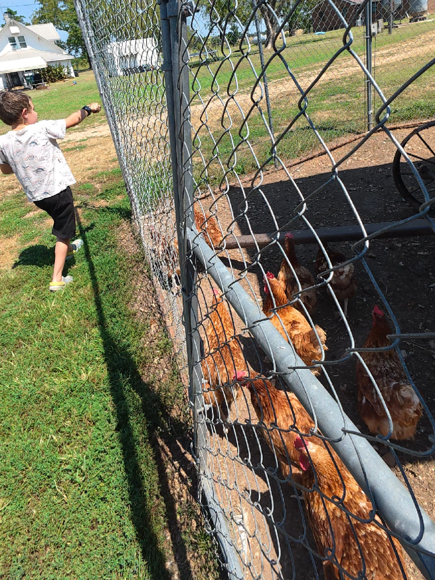 @ABC Homestead