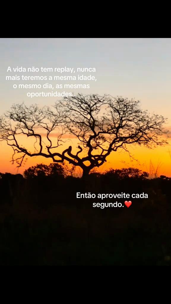 @Bruna Ellem751