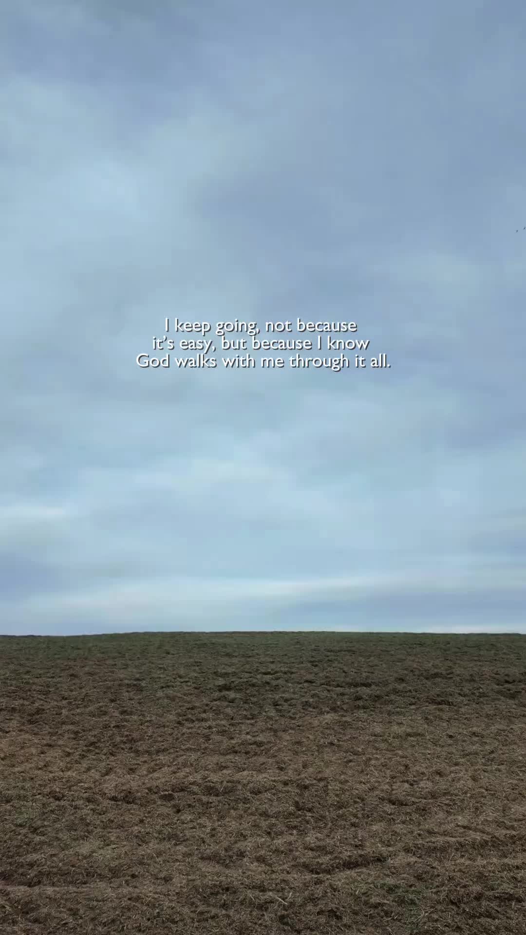 @806Texas