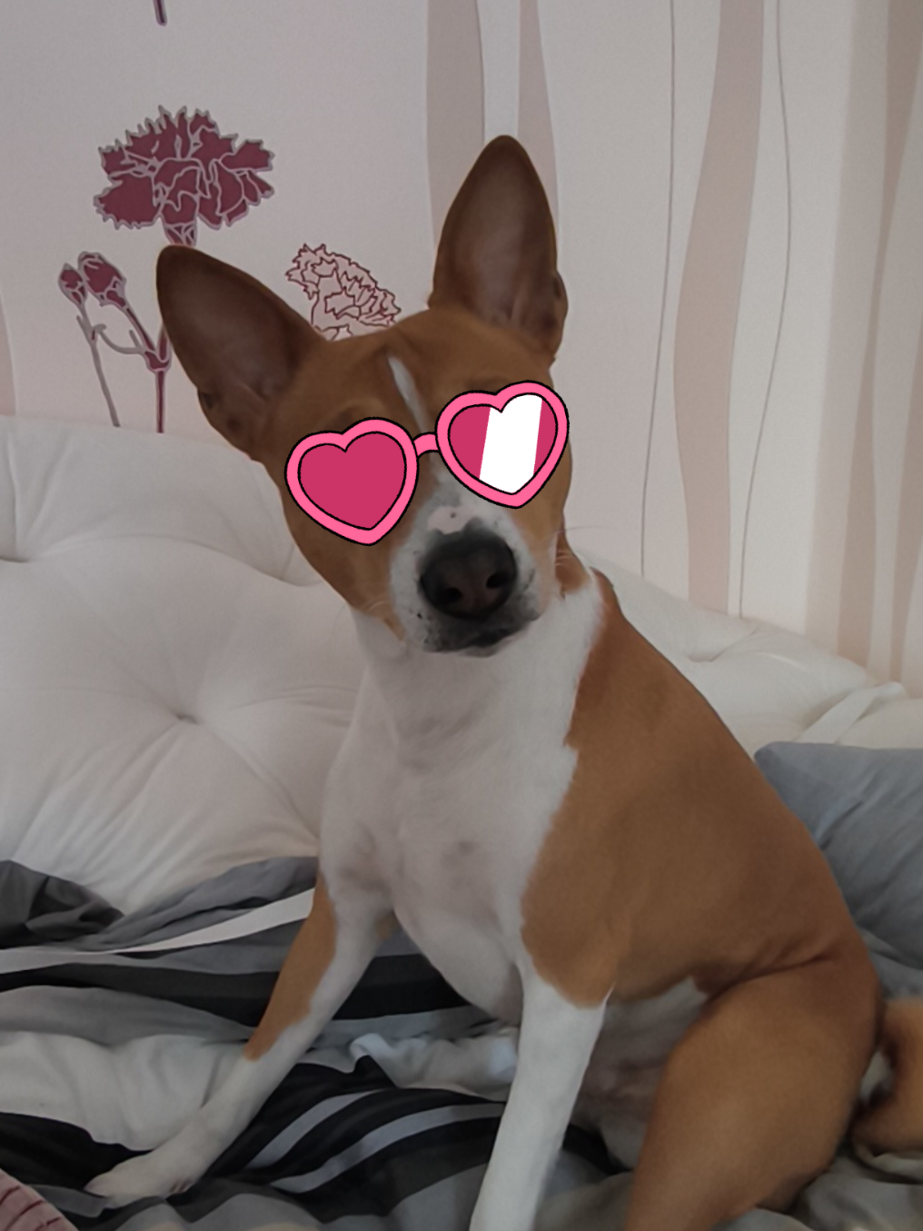 @Elena Gauzel 🥰