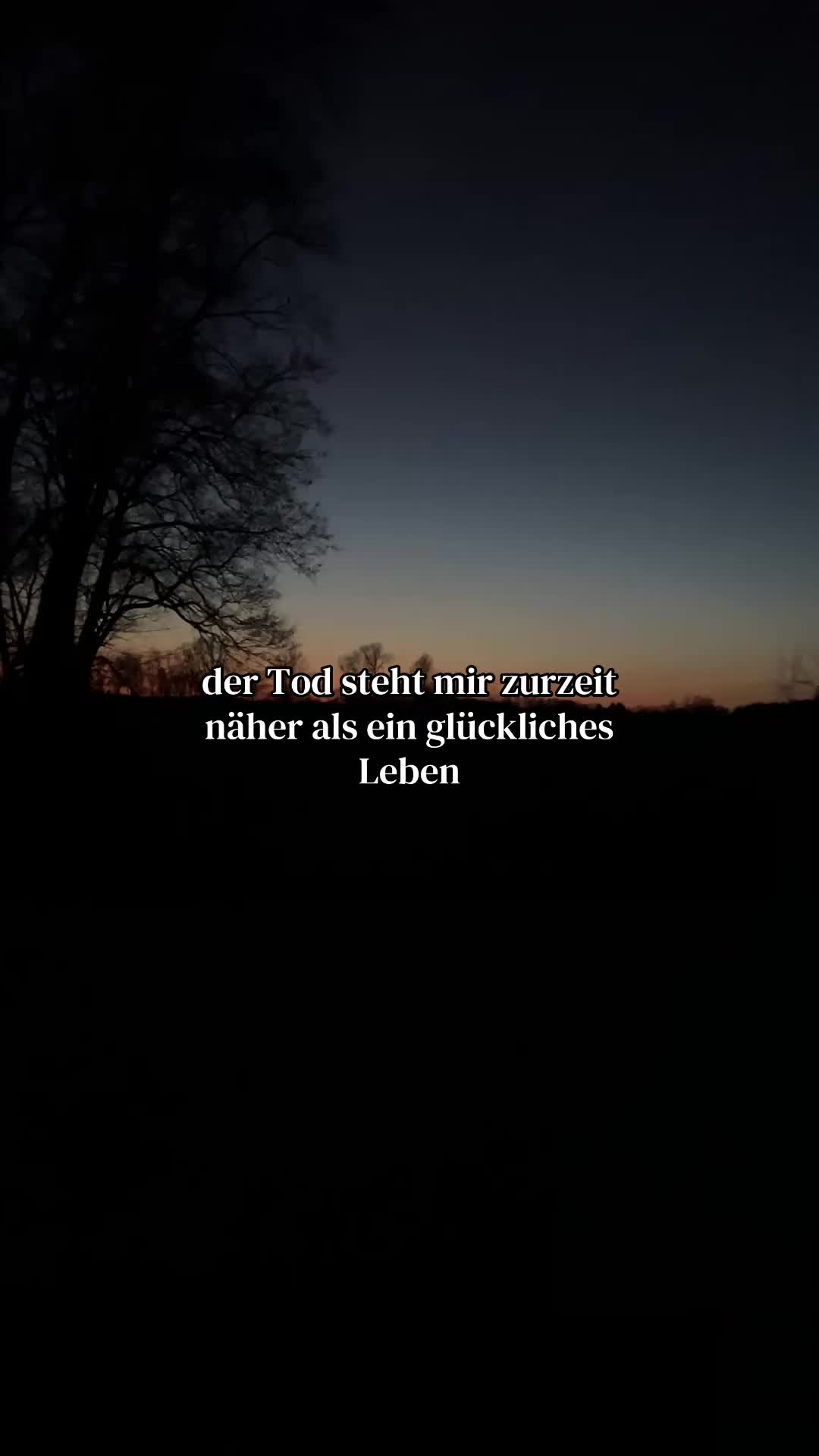@✨Platon Gleichmann✨