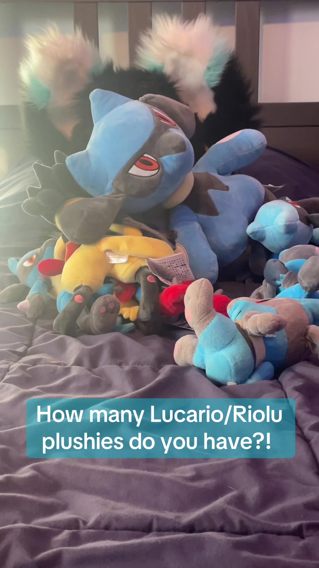@⭐️KiwiFurSure⭐️