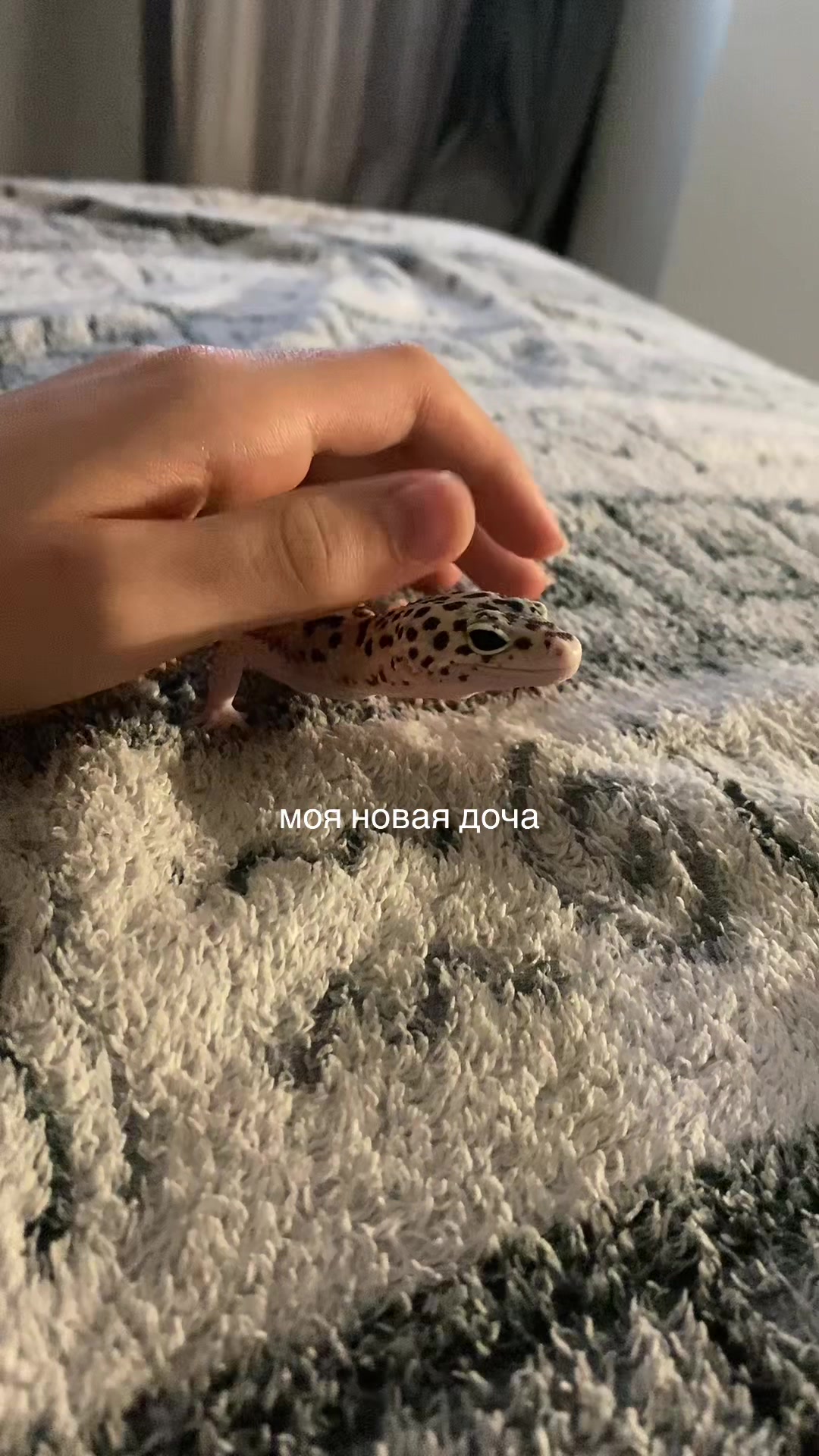 @𝙭𝙨𝙖𝙣𝙤𝙫𝙖