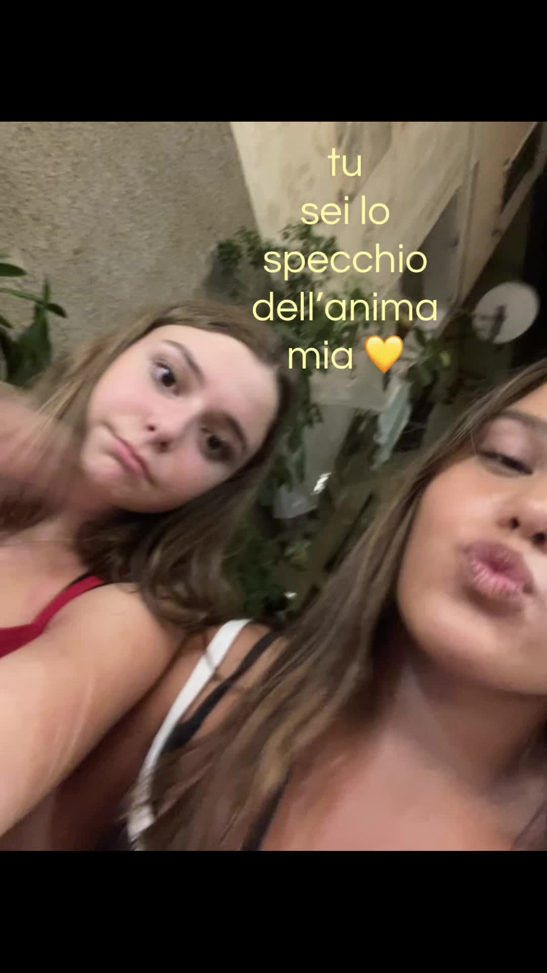 @_spamm.chia_
