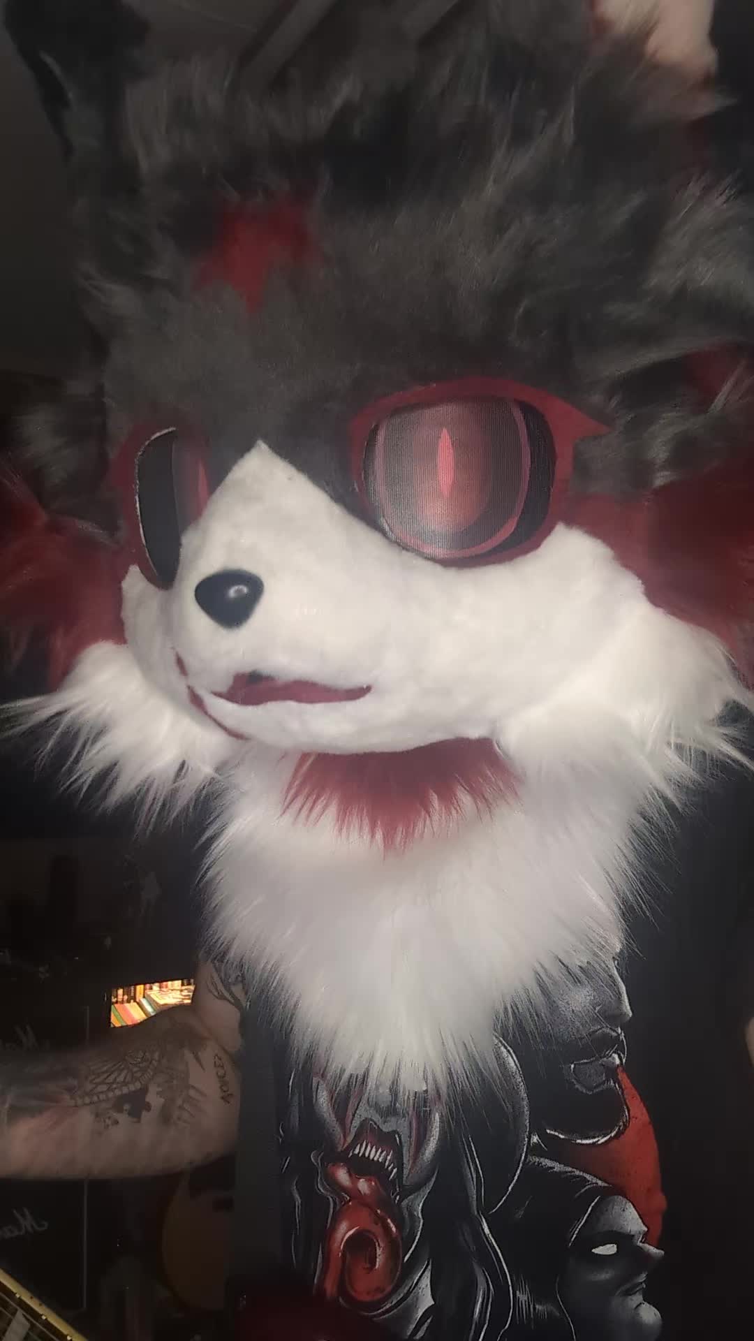 @Raphaelthefurry
