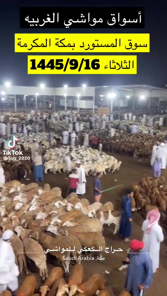 @mohamed_ksa0