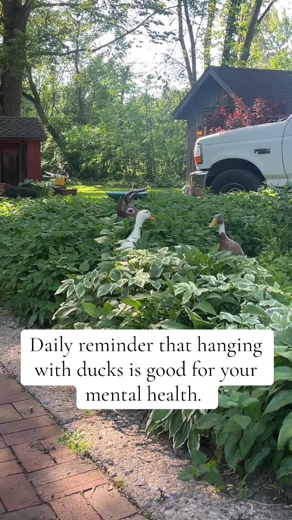 @Scott The Farmer
