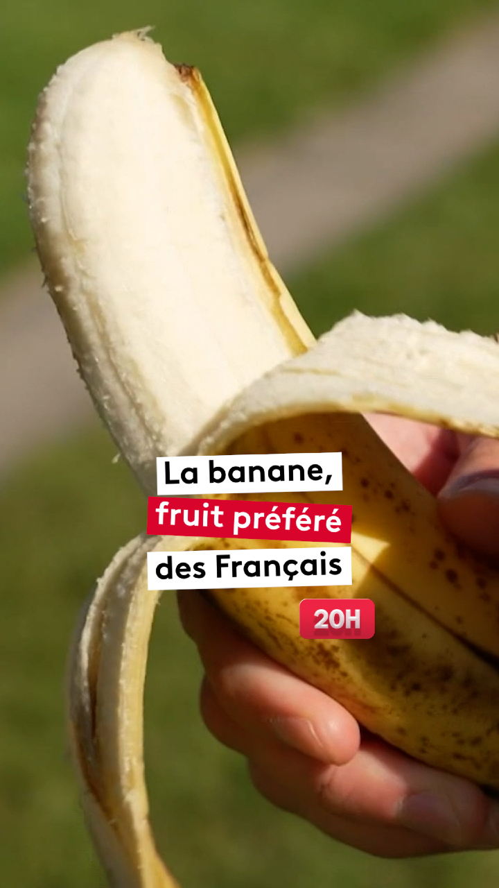 @le20hfrancetelevisions