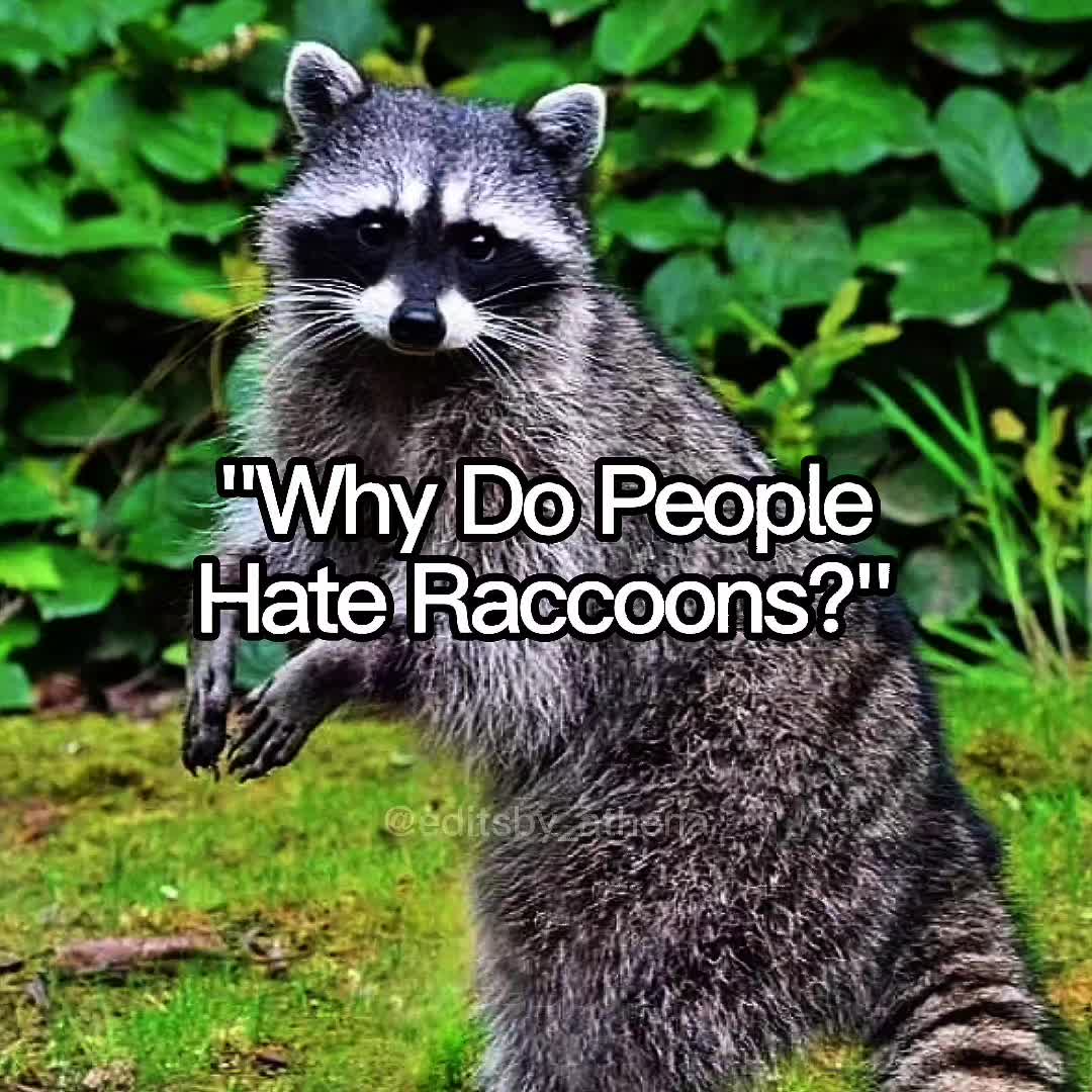 @𝐀𝐓𝐇𝐄𝐍𝐀