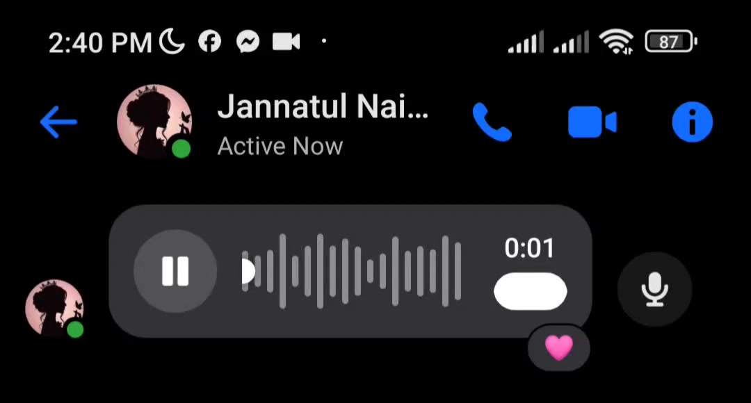 @Voice Of Jannatul