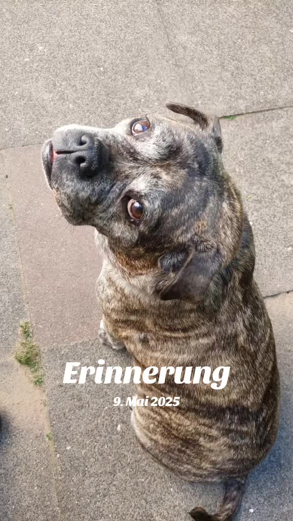 @Fitness f&uuml;r Pfoten