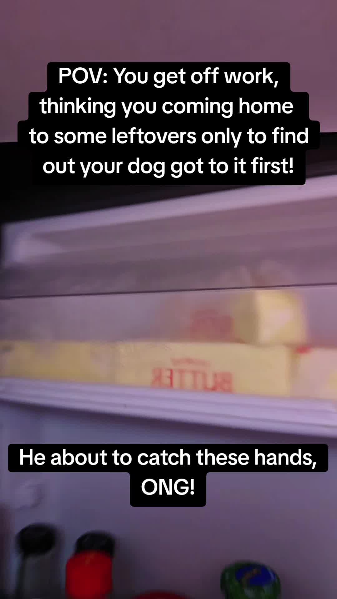 @❌️ Hen-Dogg ❌️