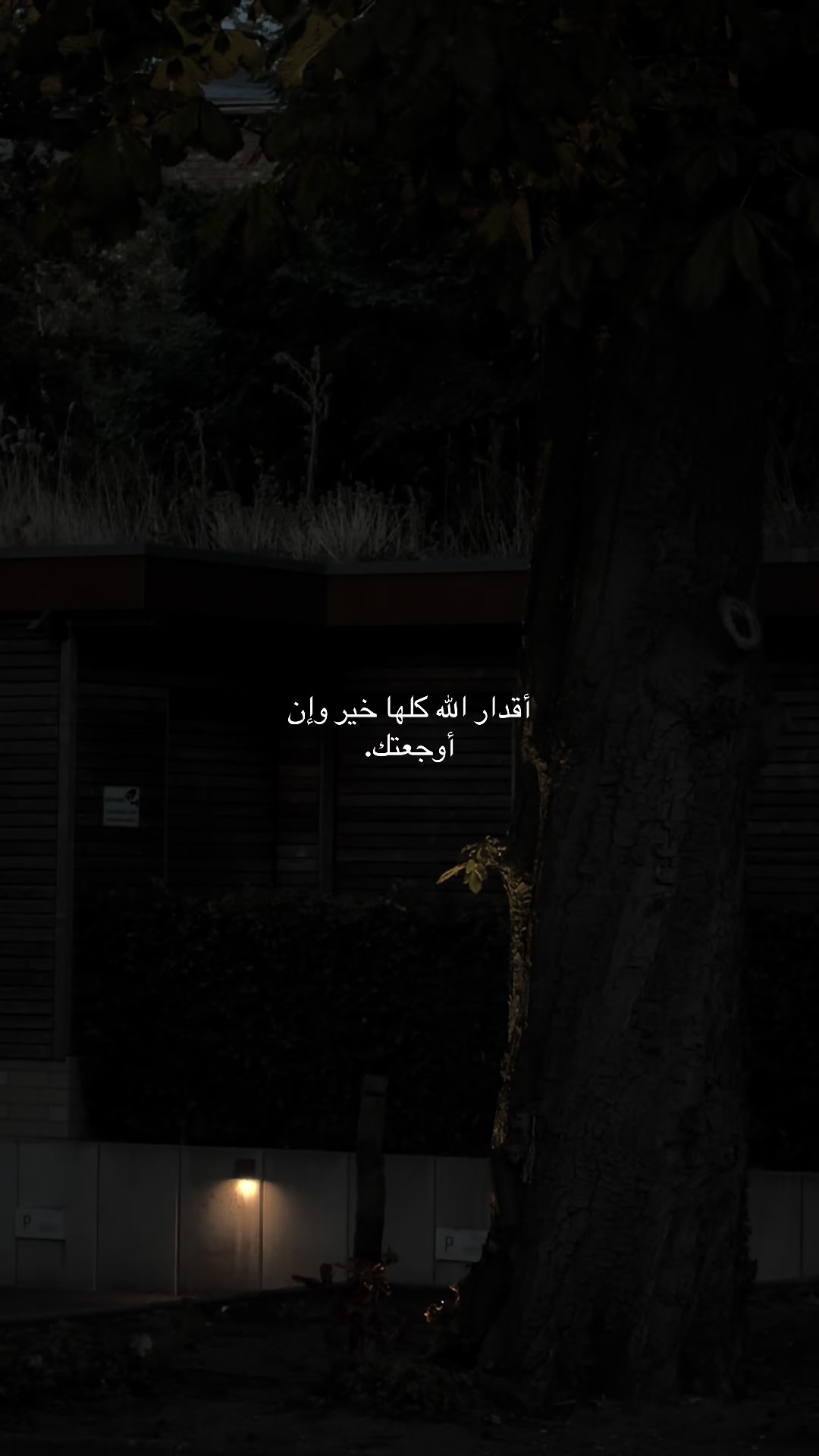 @هـٌ | 🤍