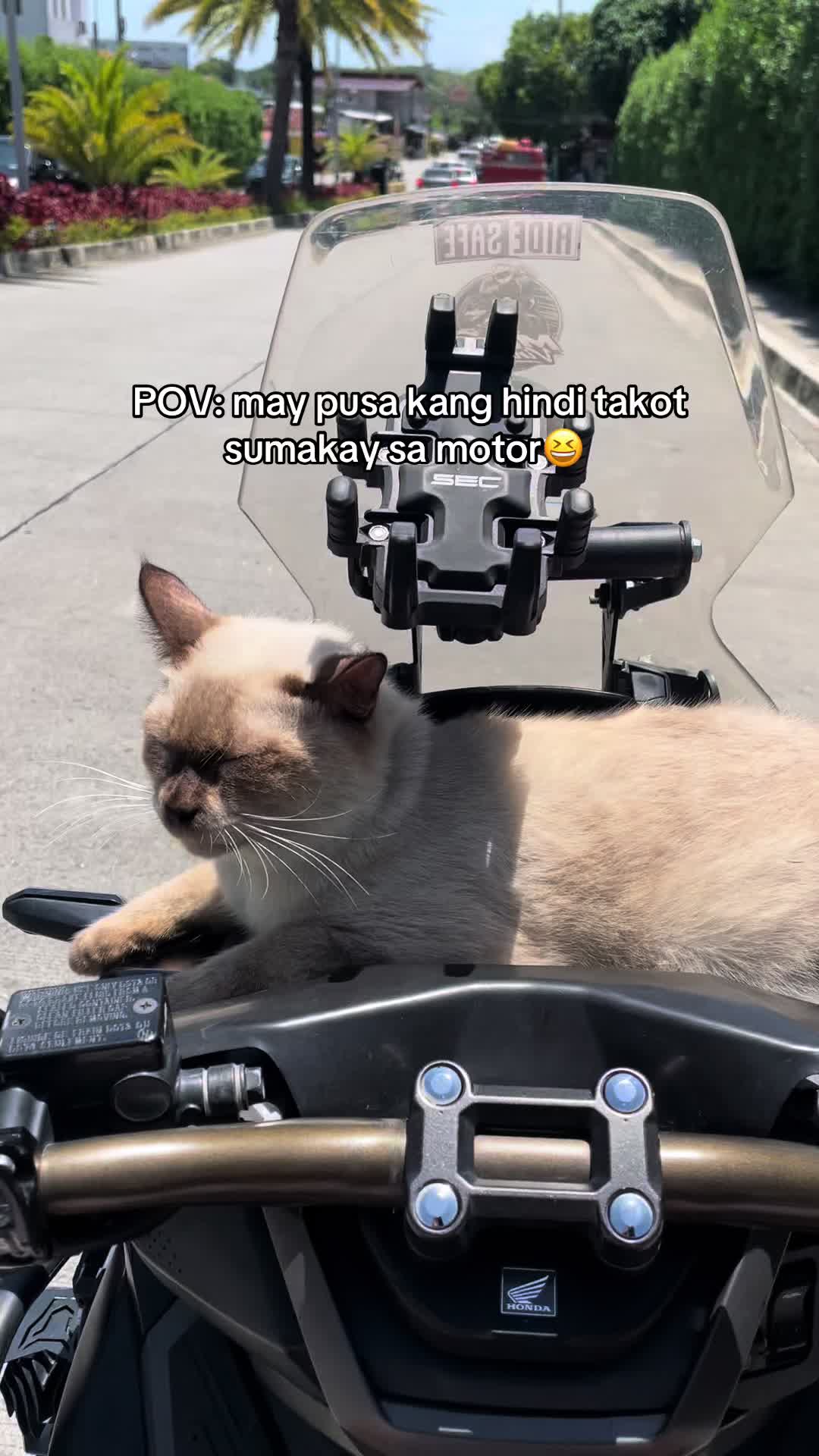 @MOTO Vincent