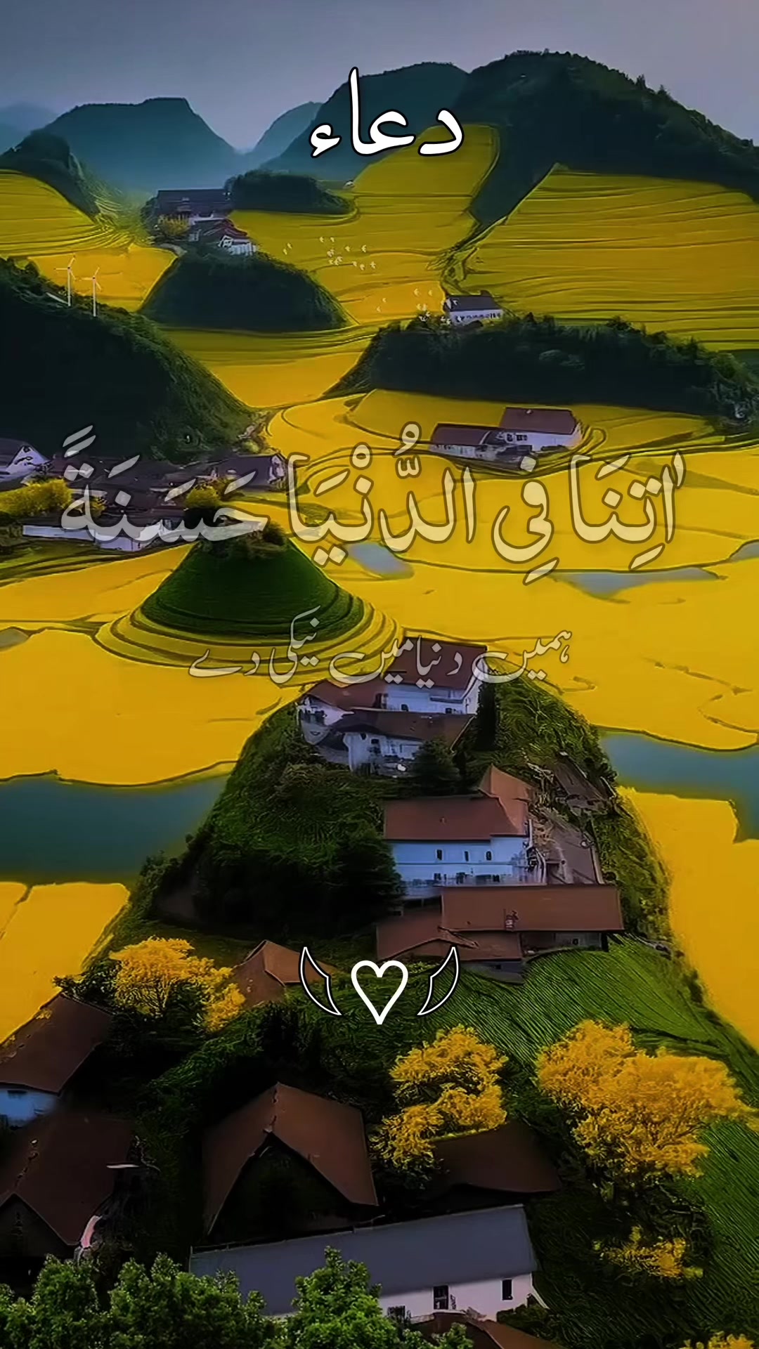@❣️ Words of Allah ❣️