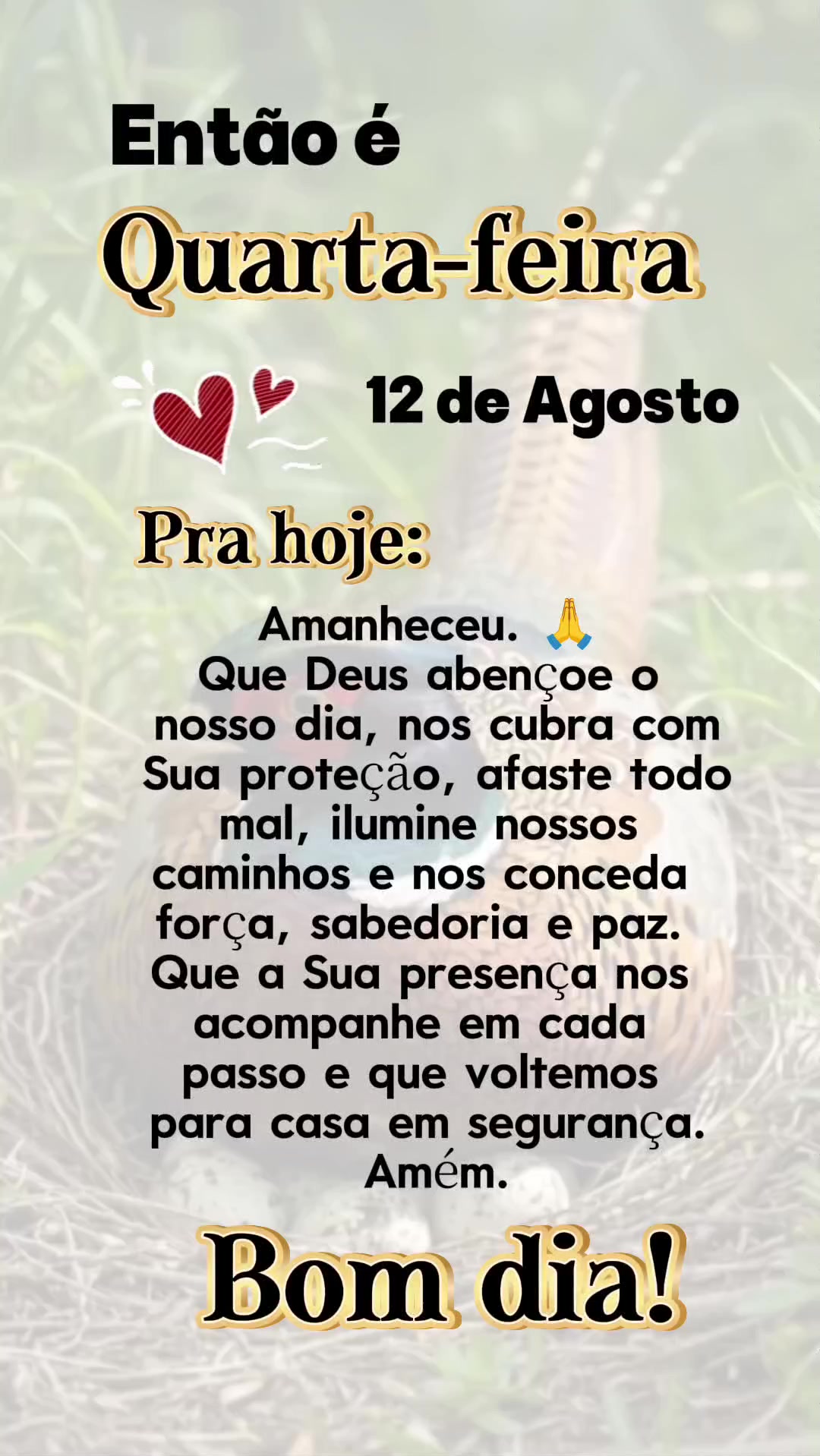 @mensagens do DIÁRIAS pra vc ❤️