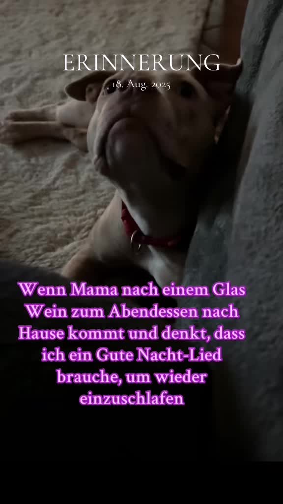 @Shiva_Grey
