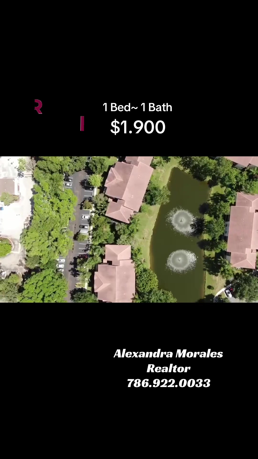 @Alexandra Morales| Realtor