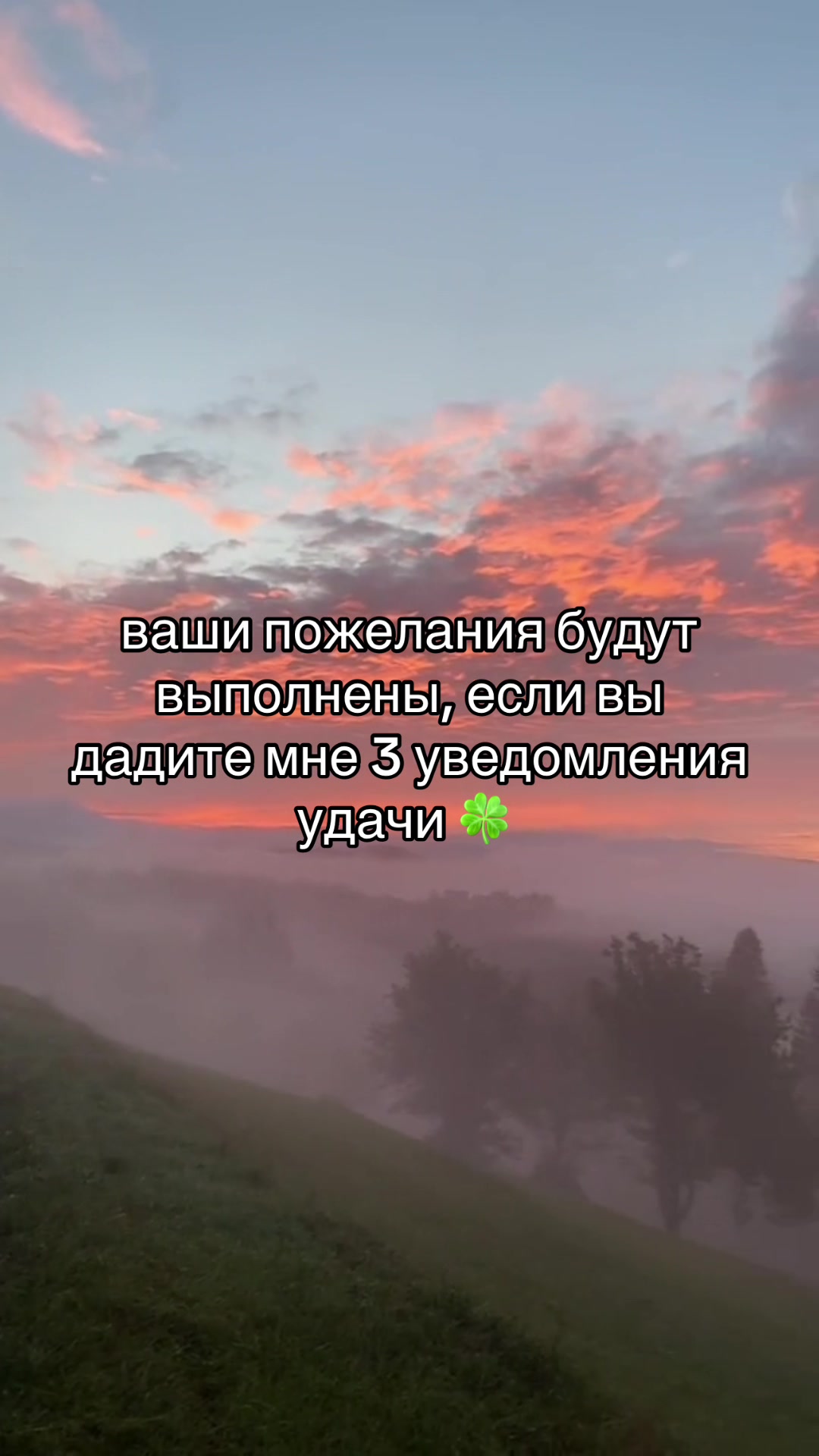 @🐚Ꮇᴏяɯᴋинᴀ🤍