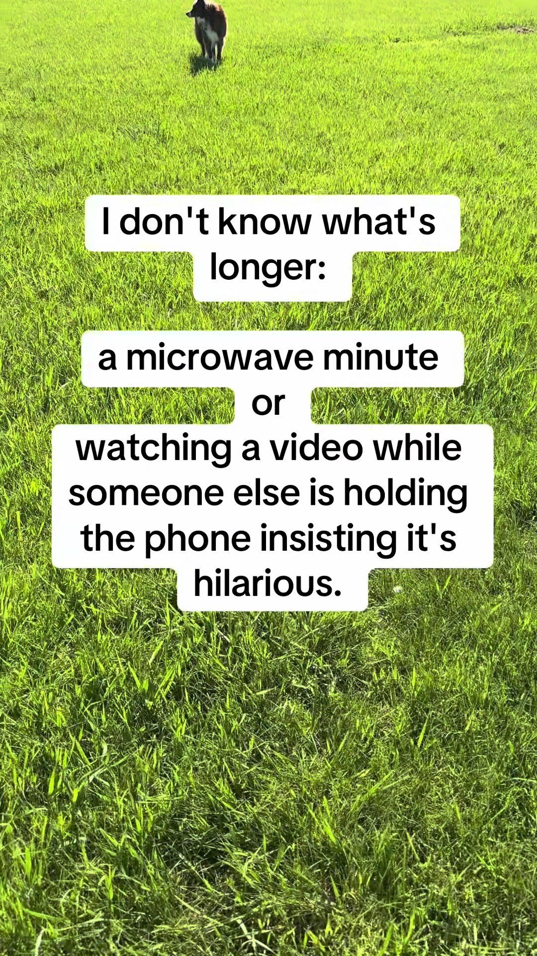 @ididntmemetodothat