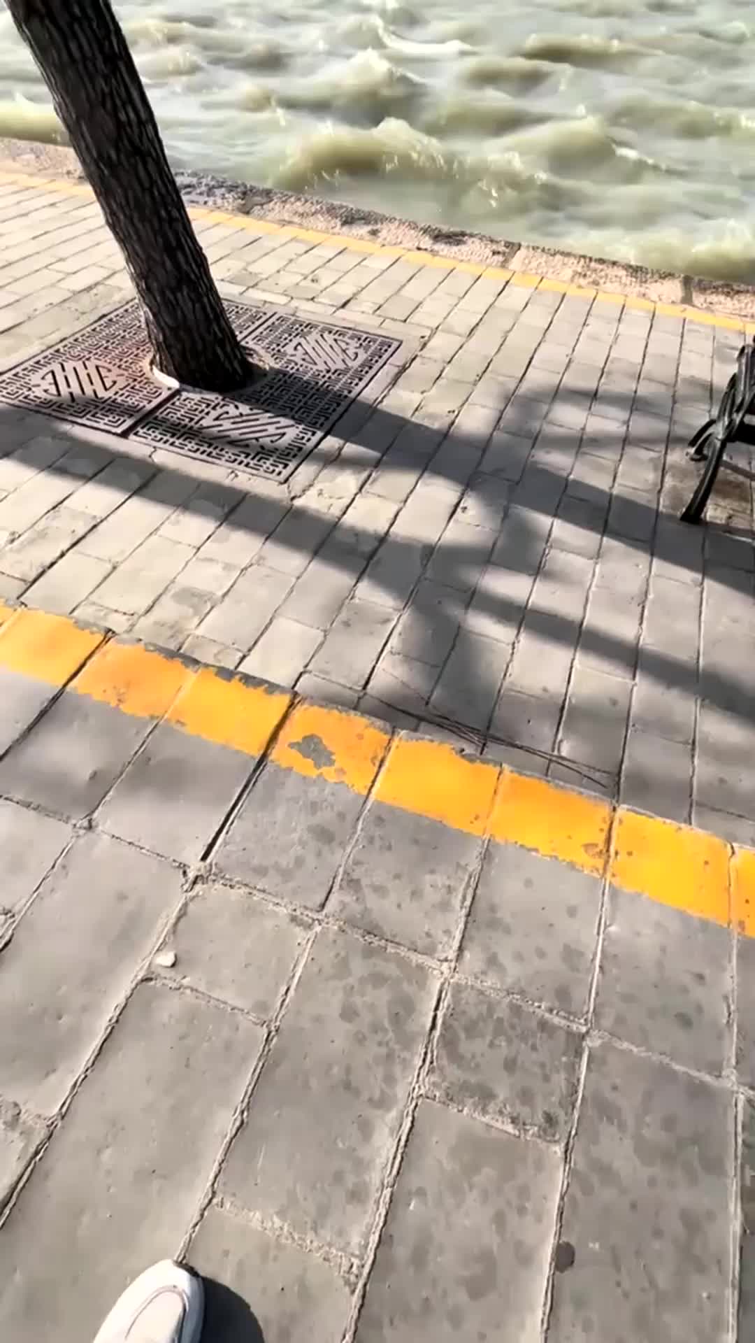 @alnxsssss82267600