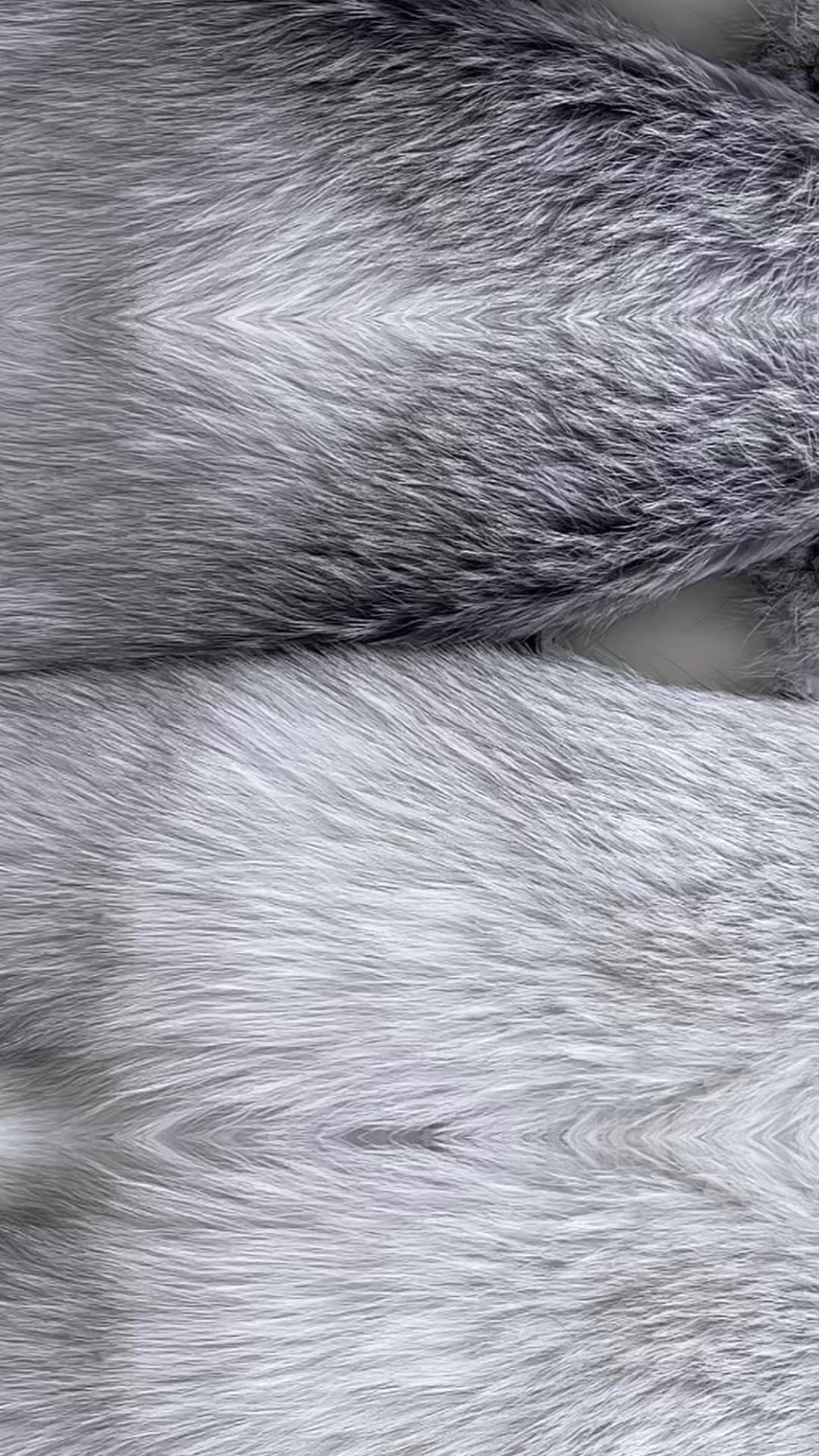 @_winter_fox_._