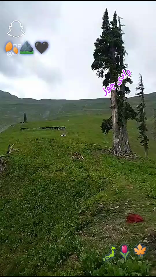 @shahzeb khan